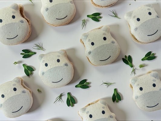 🦛 Adorable Hippo French Macarons