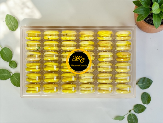 Lemon Vibe: A Flavorful Quartet of French Macarons in One Set | 36 Pack